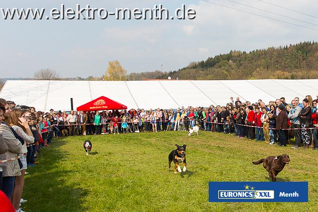 D - Foto Laudi Samstag -8134.JPG